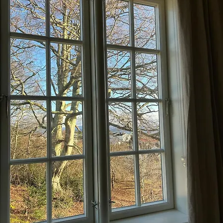 Vila Historic With Large Garden